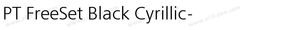 PT FreeSet Black Cyrillic字体转换